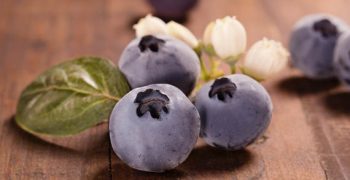 Bionest, now offers year-round blueberries