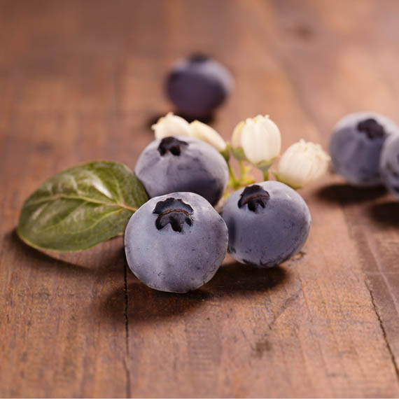 Bionest, now offers year-round blueberries, © Bionest