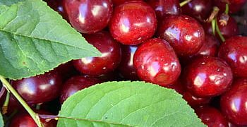 Ele.me ensures Chilean cherries are at heart of Chinese New Year Celebrations