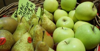 Belgium steps up exports of Conference pears to China