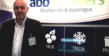 ABB Growers expands to meet rising blueberry demand