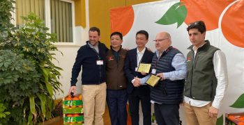 New start for Harvest Season and garciaBallester in Asian citrus market