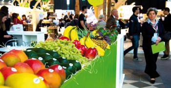 Macfrut 2020, the Tropical Fruit Congress will be dedicated to avocados