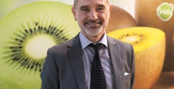 Origine Group records 80% increase in sales of Italian kiwi