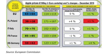 Recovery of EU apple prices this season
