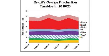 World orange crop slumps