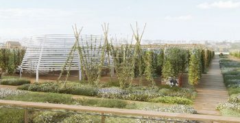 Paris to get world’s largest rooftop farm