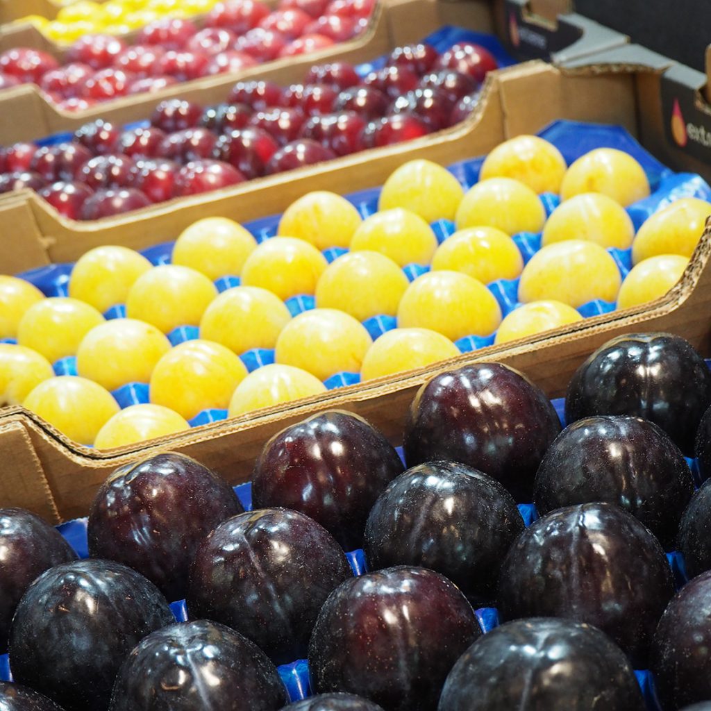 Spanish stone fruit sector under immense pressure, credit. Alexandra Sautois, Eurofresh Distribution