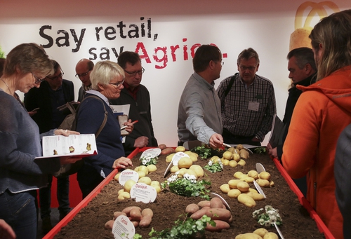 Agrico launches Next Generation potatoes