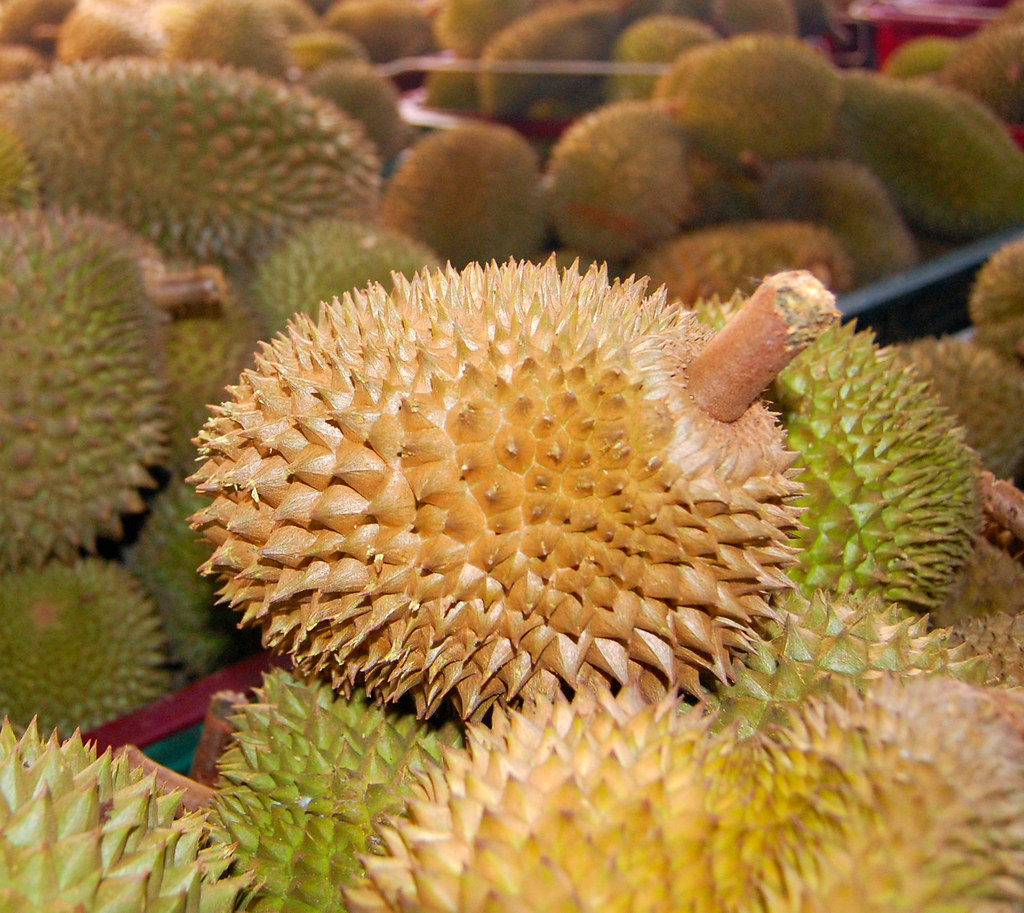 Source of durian’s stick identified