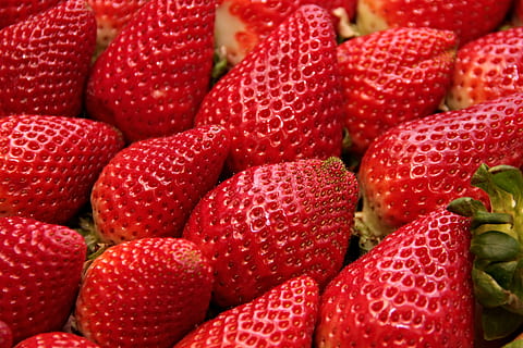 Spain’s berry sector calls for help from unemployed 