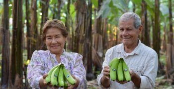 Ecuador convinces with fruity variety