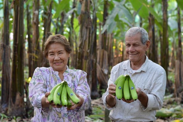 Ecuador convinces with fruity variety