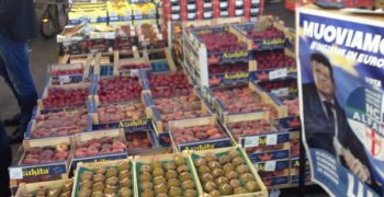 Flashmob singalong at Milan’s Ortomercato to reassure Italians