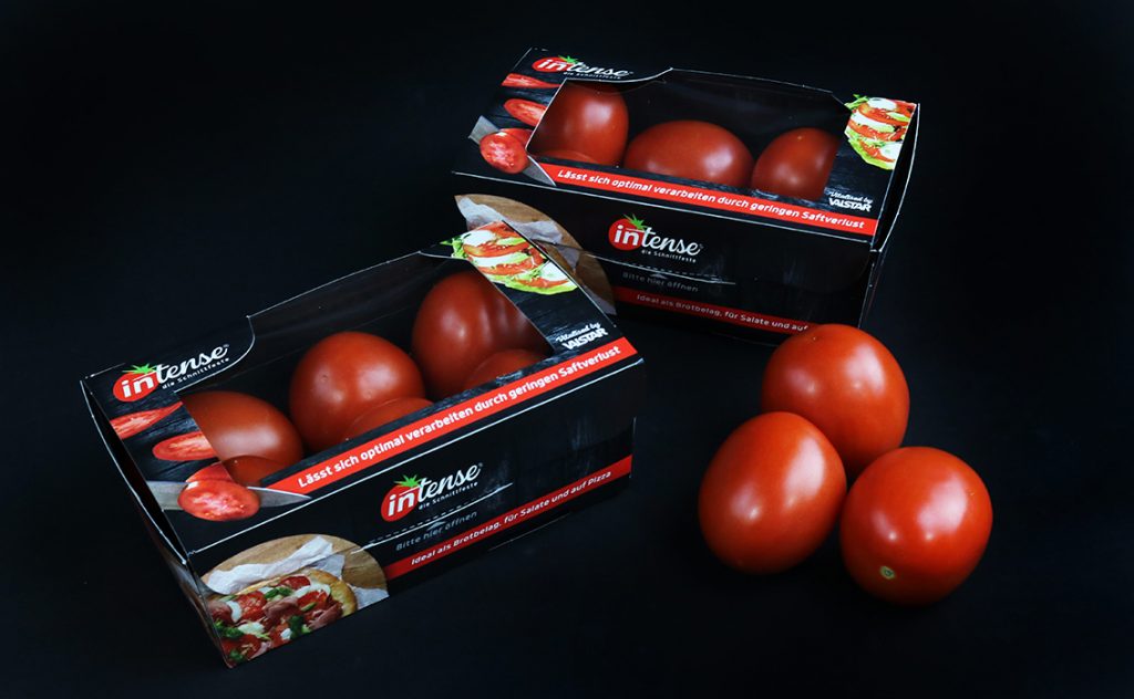 Increasing interest in the German market for the Intense tomato, credit: Valstar Holland B.V.