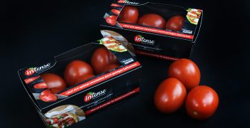 Increasing interest in the German market for the Intense tomato