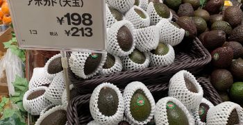 Westfalia Fruit sends Colombian avocados to Japan