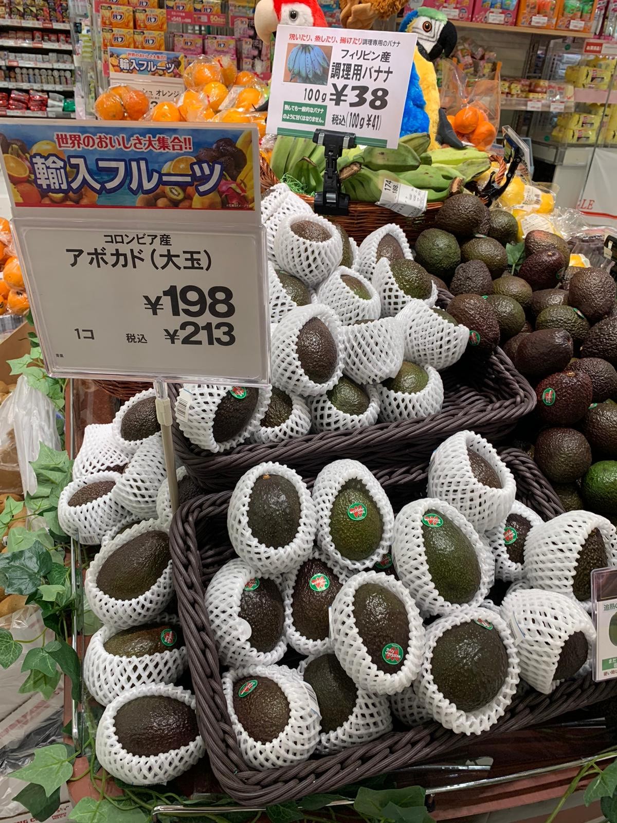 Westfalia Fruit sends Colombian avocados to Japan