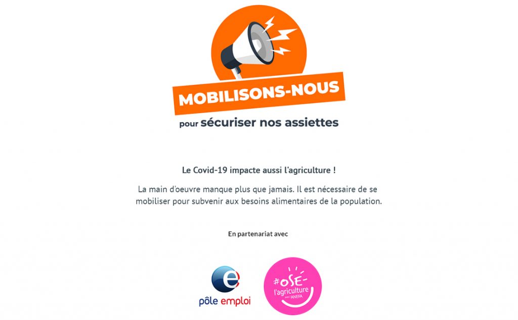 In France, to overcome the shortage of workers in fiels, the government has created a website for people to apply to jobs without losing their rights to go back to their jobs after the quarantine. /// © desbraspourtonassiette.wizi.farm