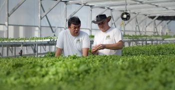 Singapore launches urban agriculture projects to expand local food supply