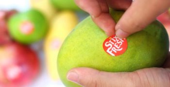 Improving fruit shelf life with newly developed sticker