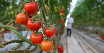 Turkey’s agri-food exports rise 4.5% in March