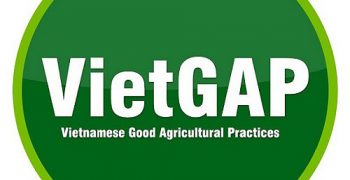 Safety accreditation for Vietnamese vegetables 