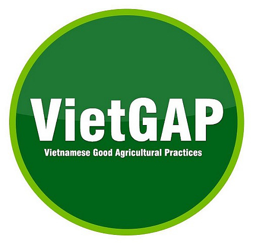 Safety accreditation for Vietnamese vegetables 