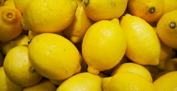 APHIS Authorizes Importation of Fresh Citrus Fruit from China