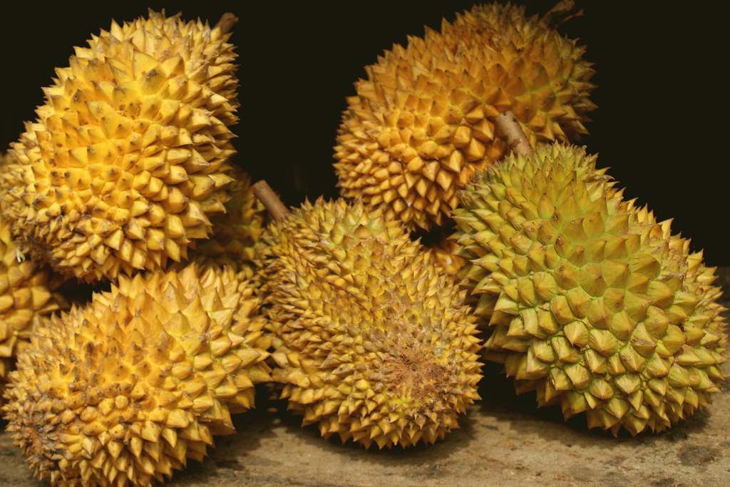 Strong rise in Thailand’s durian exports 