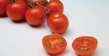 Clause’s Genio, Creativo, Dolcetini cherry tomatoes meet the challenges facing food retailing