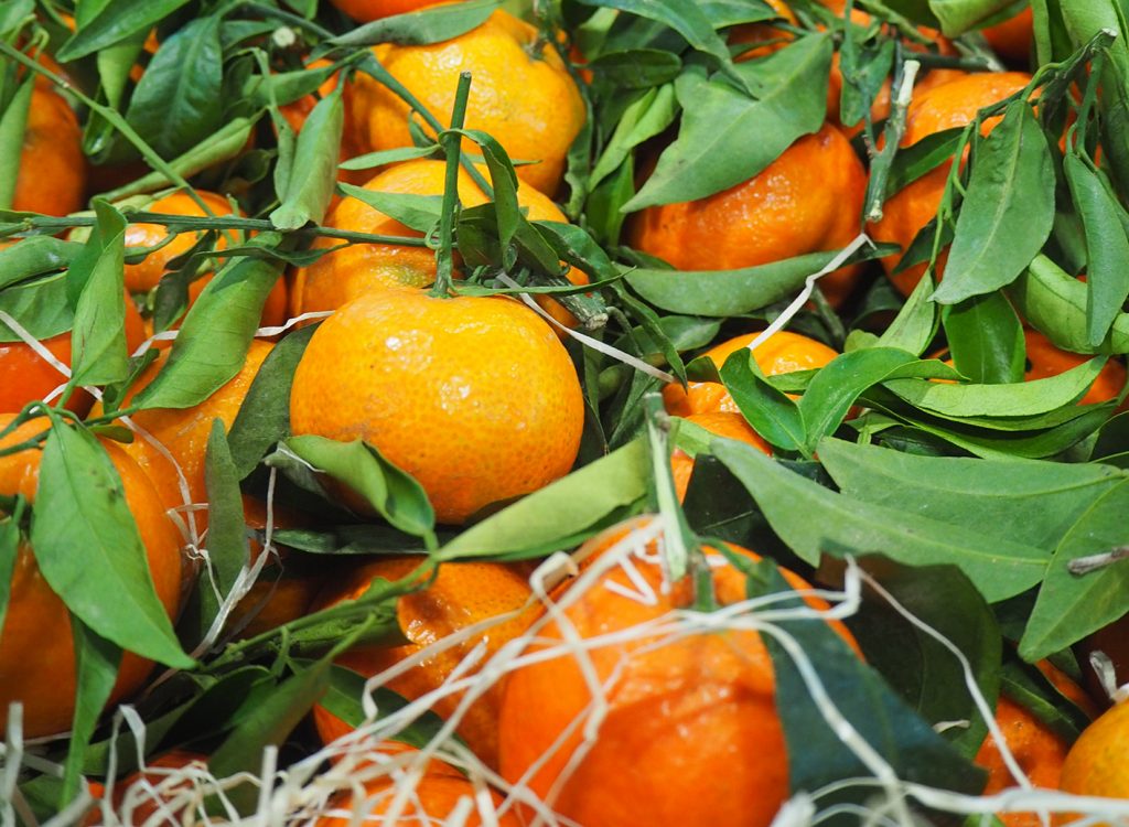 Spring Sunshine Mandarin Variety Producers Association established