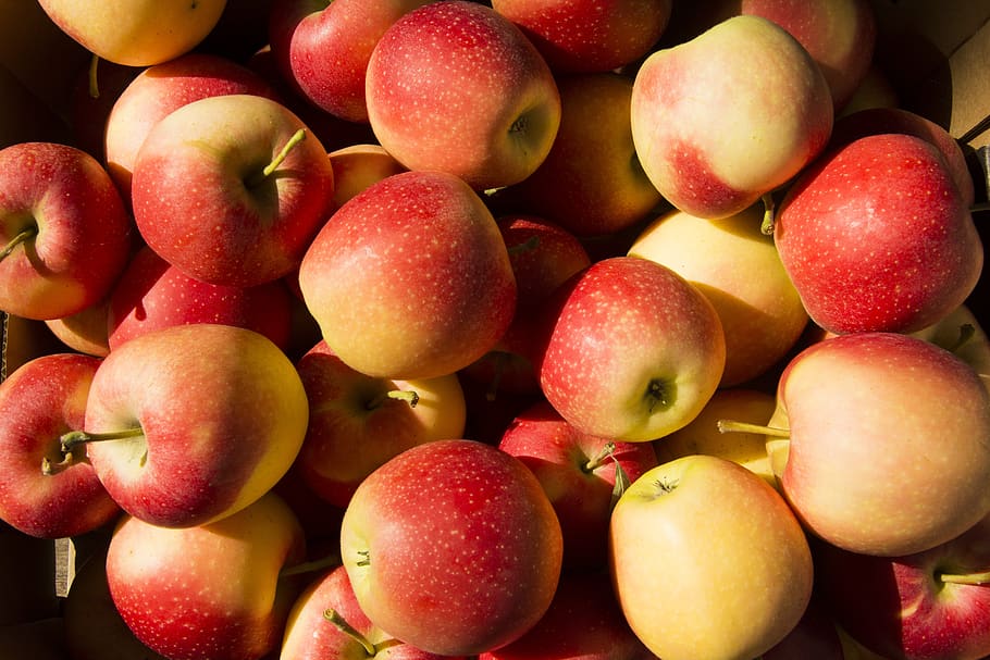 Spanish stone fruit crop to fall 15%