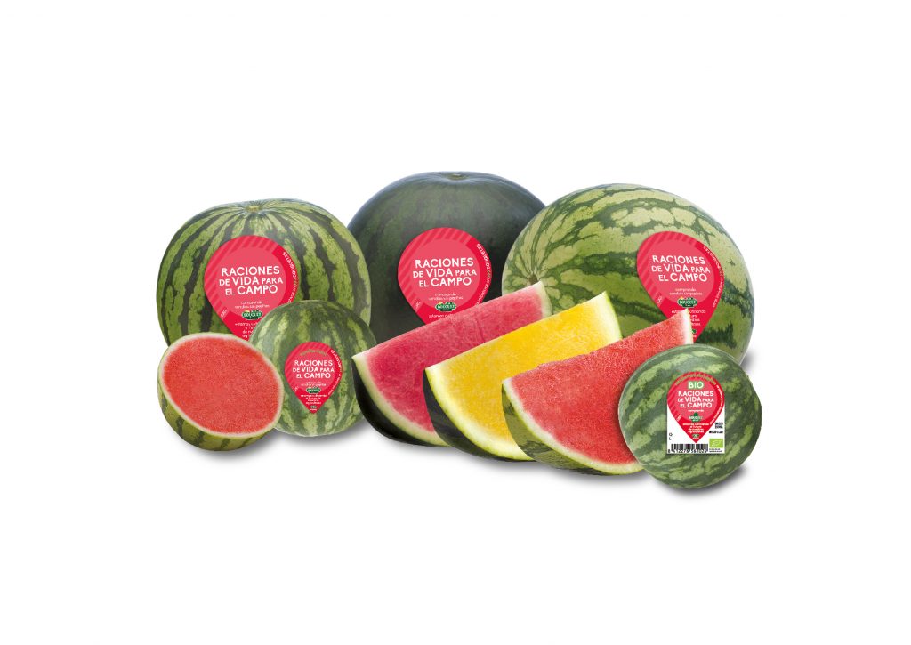 Anecoop forecasts 150,000 tons of watermelon this campaign