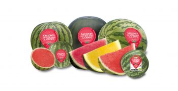 Anecoop forecasts 150,000 tons of watermelon this campaign