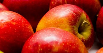 South Africa’s apple exports fall despite larger crop