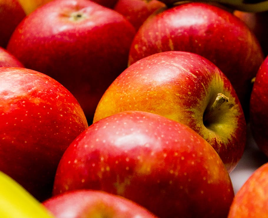 South Africa’s apple exports fall despite larger crop