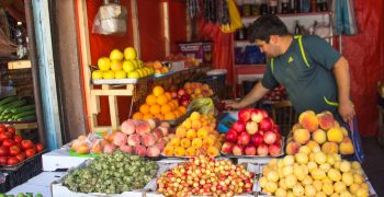 Grant of 1 million USD for Georgian farmers