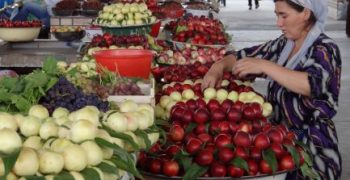 Uzbekistan’s stone fruit exports weather pandemic
