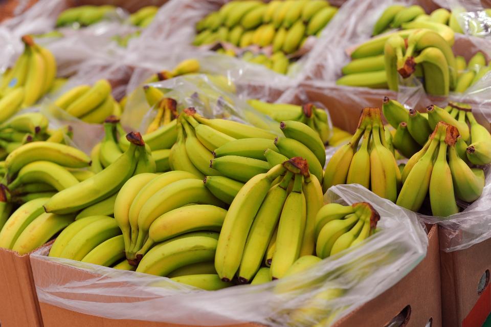 Banana sector embracing sustainability