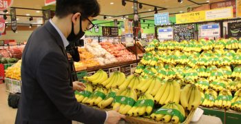 Vietnamese bananas land on South Korean retail shelves
