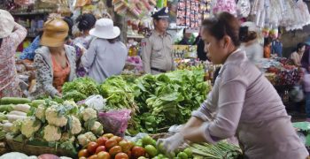 Cambodia’s vegetable exporters ready to seize opportune moment 