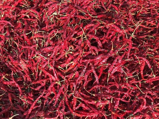 Syngenta’s hot peppers to make Indian processors life easier