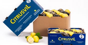 Citrusvil’s campaign progresses at a steady pace