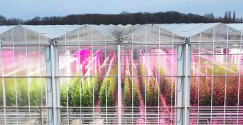 Fluence Expands PhysioSpec™ Spectra Offering on VYPR Series for Global Greenhouse Cultivators