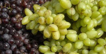 Indian grape exports take a hit