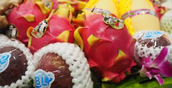 China to host Thai fruit festival