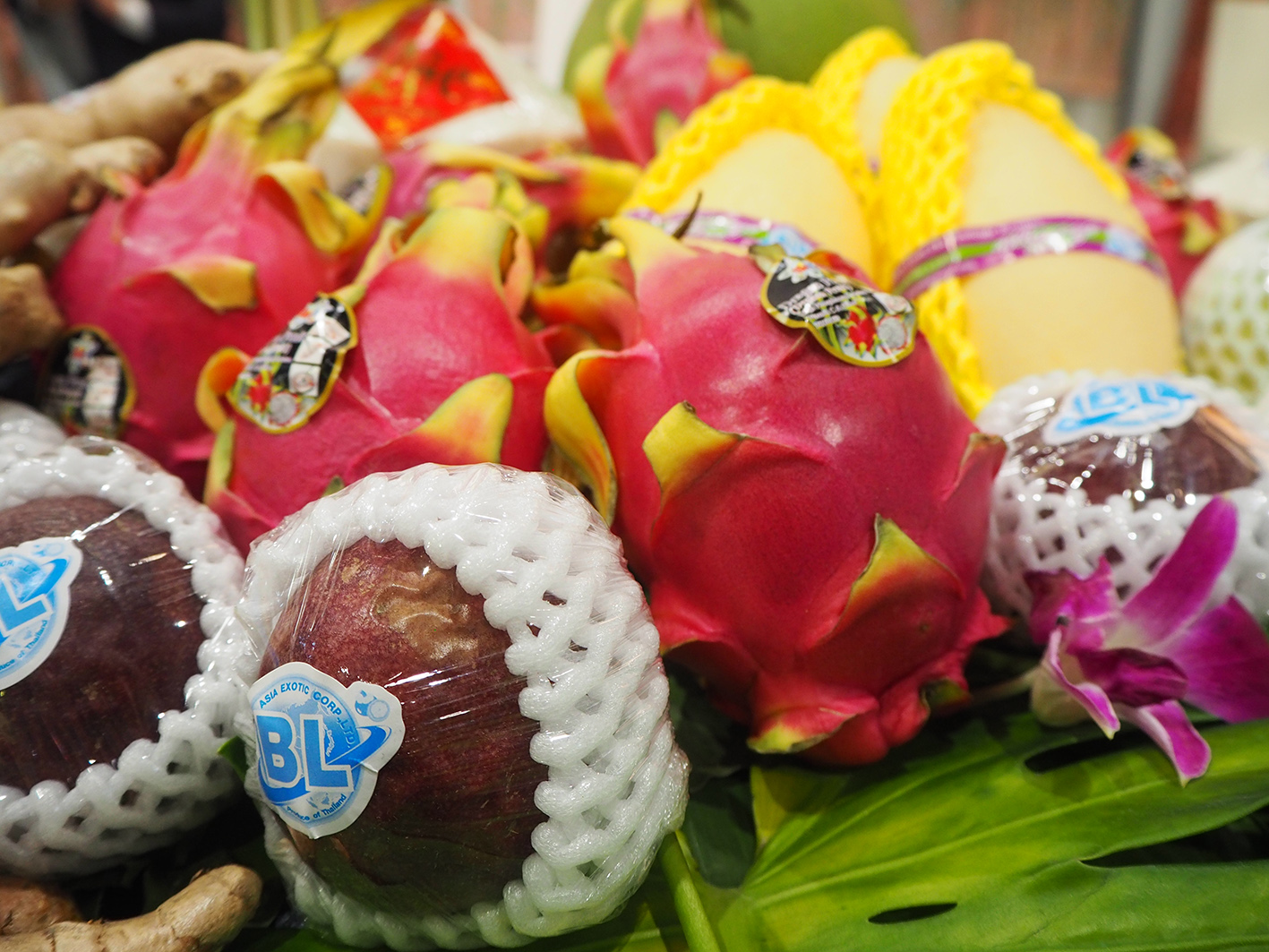 China to host Thai fruit festival