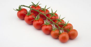 Nebula the tasty tomato booster of innovation in China