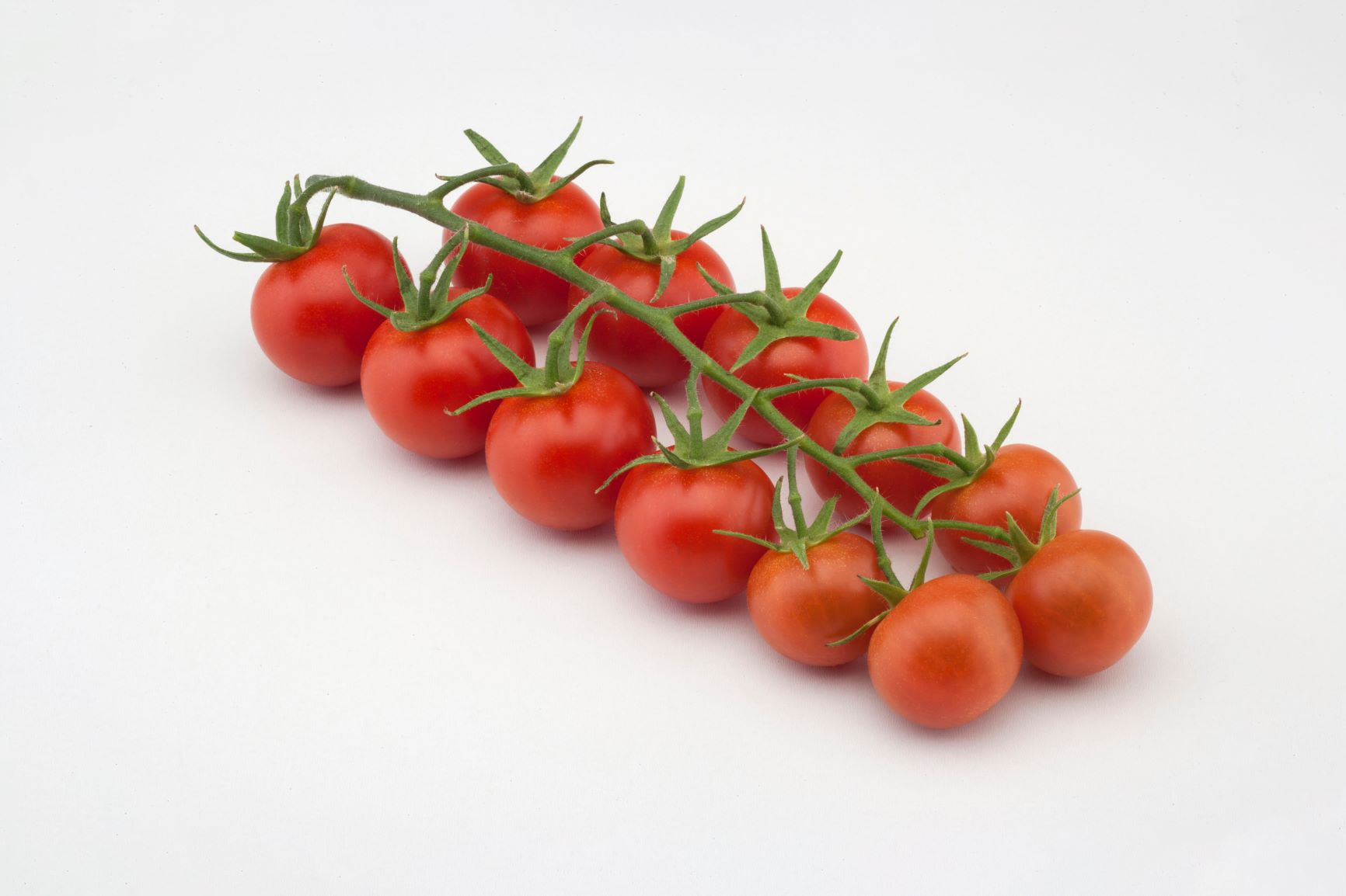 Nebula the tasty tomato booster of innovation in China